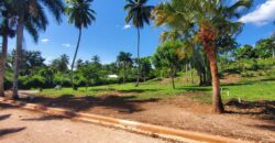 Plots in Community, Casas Típicas in El Limón