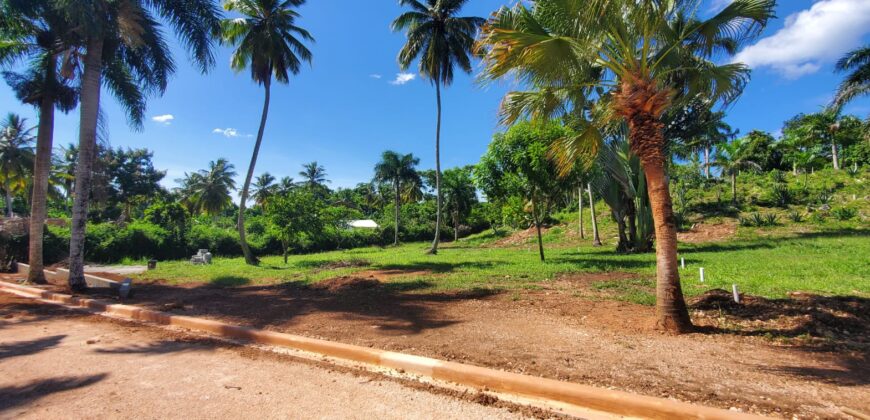Plots in Community, Casas Típicas in El Limón