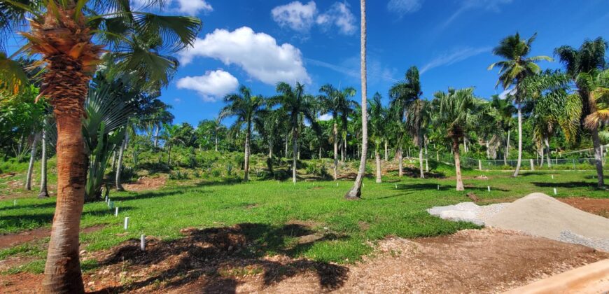 Plots in Community, Casas Típicas in El Limón
