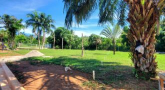 Plots in Community, Casas Típicas in El Limón