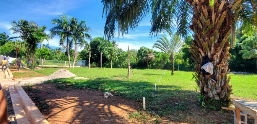 Plots in Community, Casas Típicas in El Limón