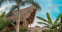 Be part of this Treehouse Community, Live Diferent