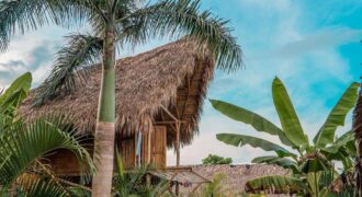 Be part of this Treehouse Community, Live Diferent