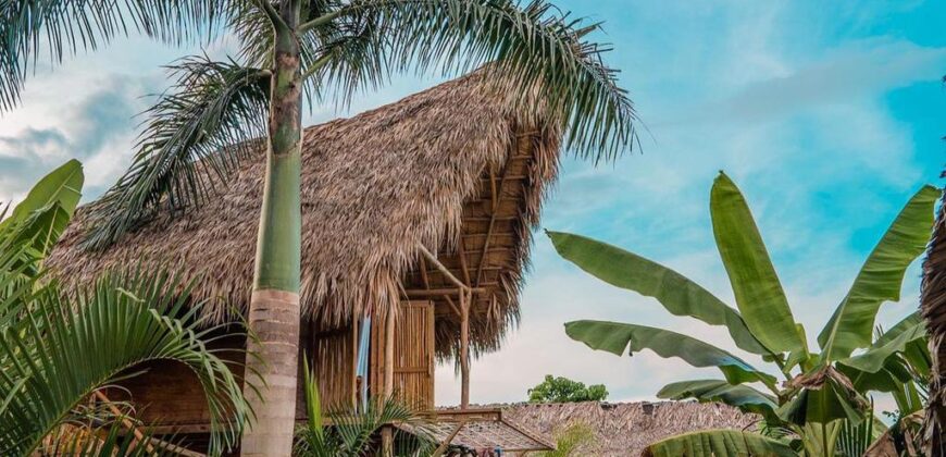 Be part of this Treehouse Community, Live Diferent