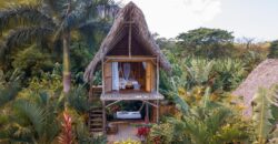 Be part of this Treehouse Community, Live Diferent