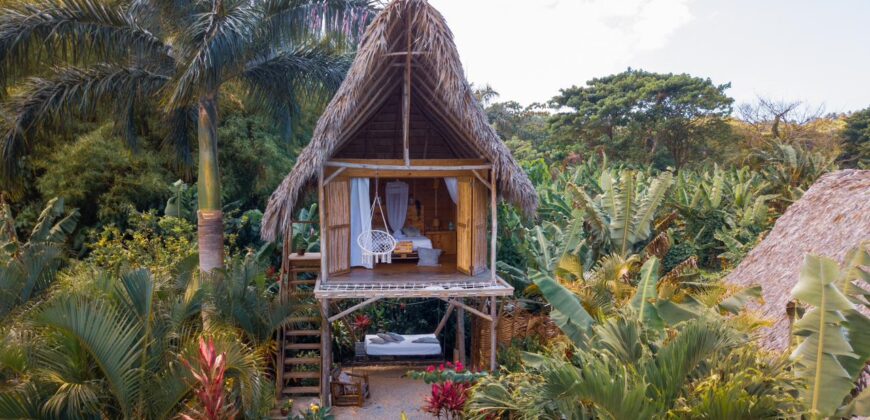 Be part of this Treehouse Community, Live Diferent