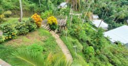 Ocean View Duplex Villa in Cosón | Private Pool & Large Lot