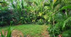 Ocean View Duplex Villa in Cosón | Private Pool & Large Lot