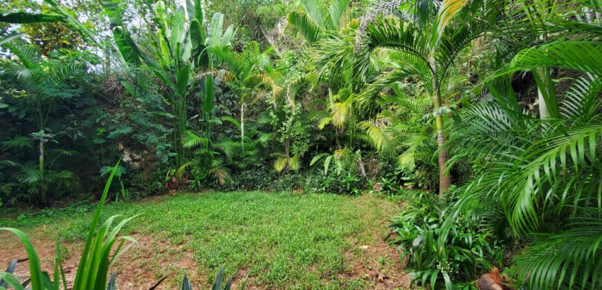 Ocean View Duplex Villa in Cosón | Private Pool & Large Lot