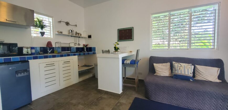 Tropical bungalow investment property, near playa Bonita