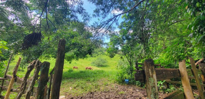 Residential Lots in Gated Community – From $48,000 | Las Terrenas