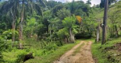 Residential Lots in Gated Community – From $48,000 | Las Terrenas