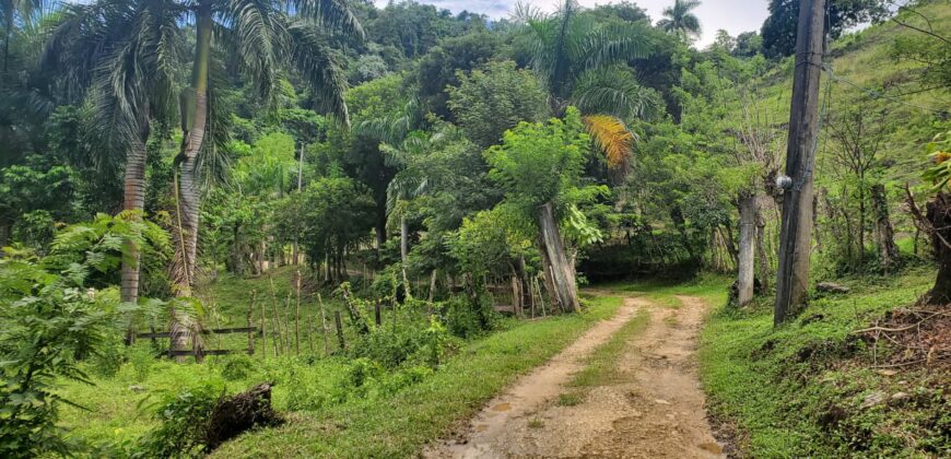 Residential Lots in Gated Community – From $48,000 | Las Terrenas