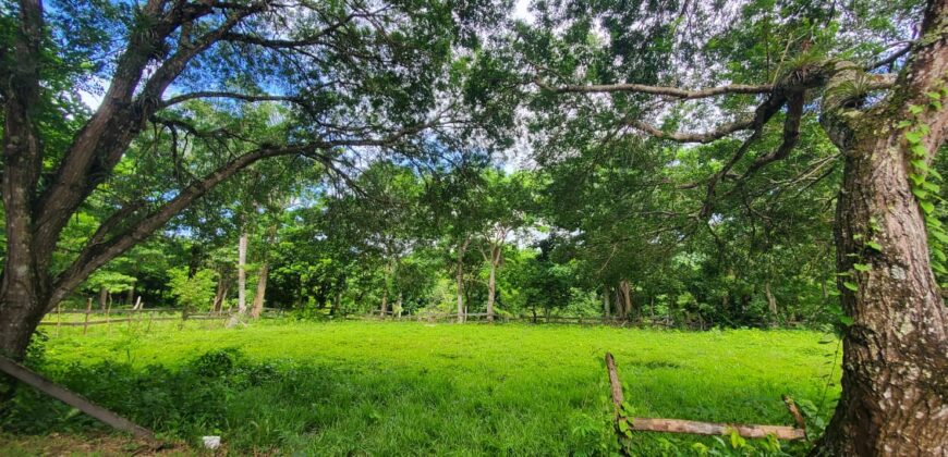 Residential Lots in Gated Community – From $48,000 | Las Terrenas