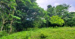 Residential Lots in Gated Community – From $48,000 | Las Terrenas