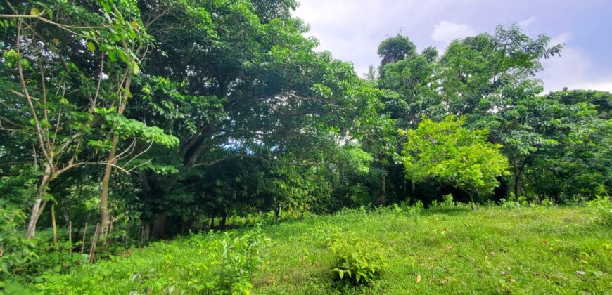 Residential Lots in Gated Community – From $48,000 | Las Terrenas