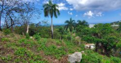 Ocean View Lot en La Ceiba | Las Terrenas