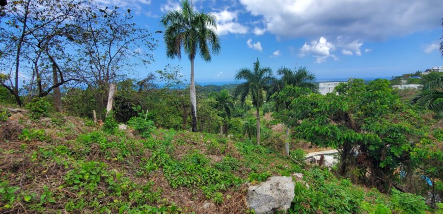 Ocean View Lot en La Ceiba | Las Terrenas