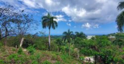 Ocean View Lot en La Ceiba | Las Terrenas