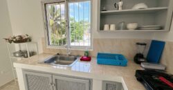 Boutique 9-Unit Hotel for Sale | Downtown Las Terrenas Investment