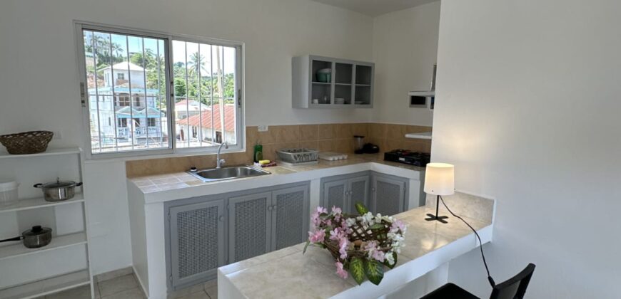 Boutique 9-Unit Hotel for Sale | Downtown Las Terrenas Investment